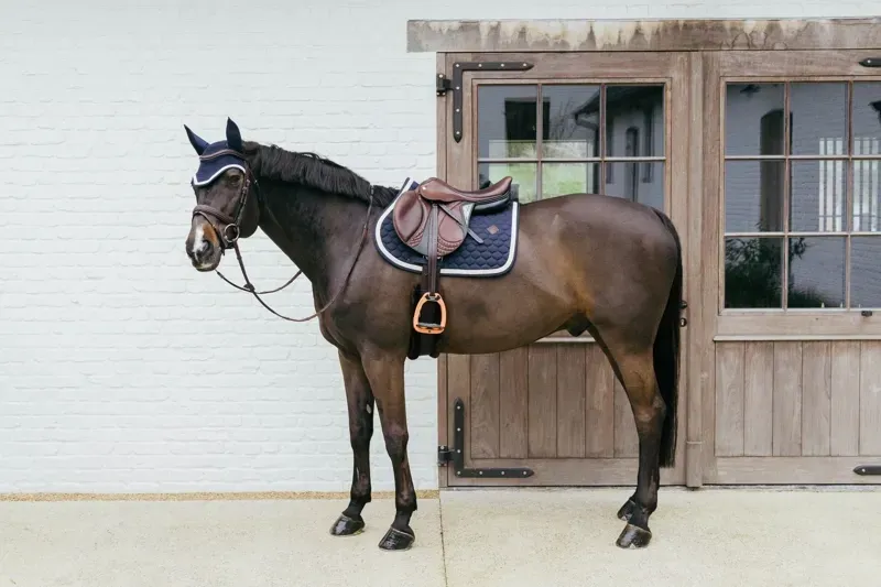 Kentucky Jumping Saddle Pad with Plaited Cord in Navy-2