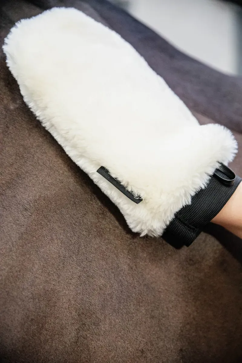 Kentucky Deluxe Sheepskin Grooming Glove in Beige-3