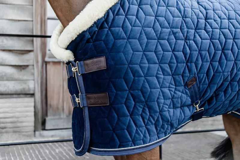 Kentucky Show Rug Velvet in Navy-3