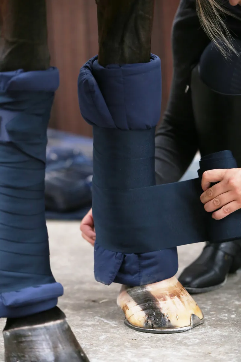 Kentucky Stable Bandages Pads in Navy-2