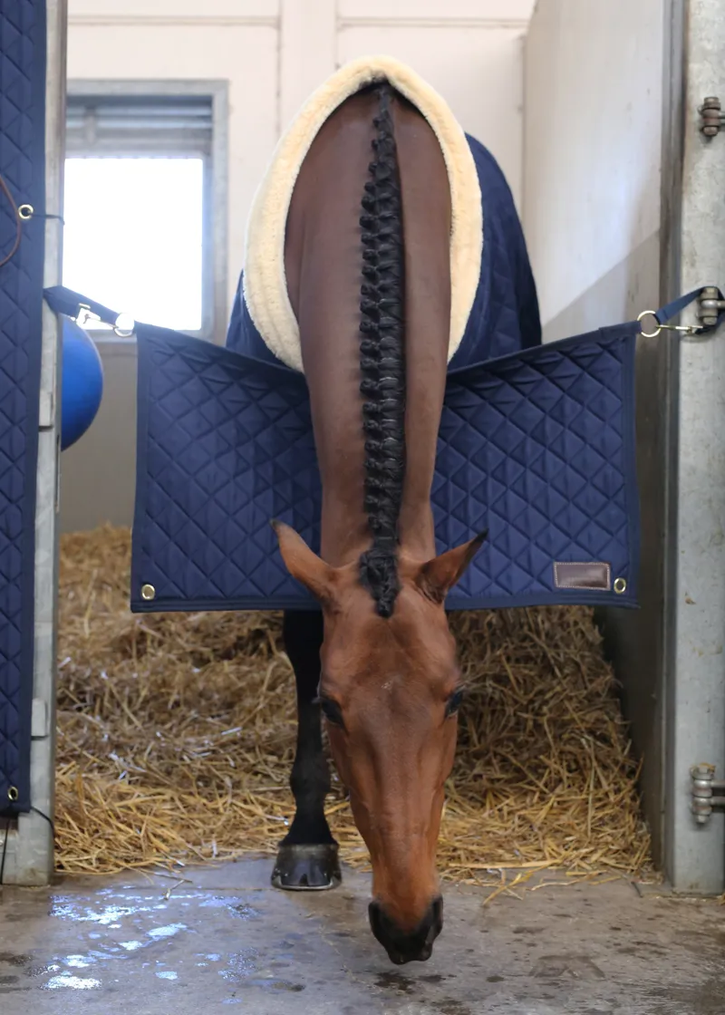 Kentucky Stable Guard in Navy-1