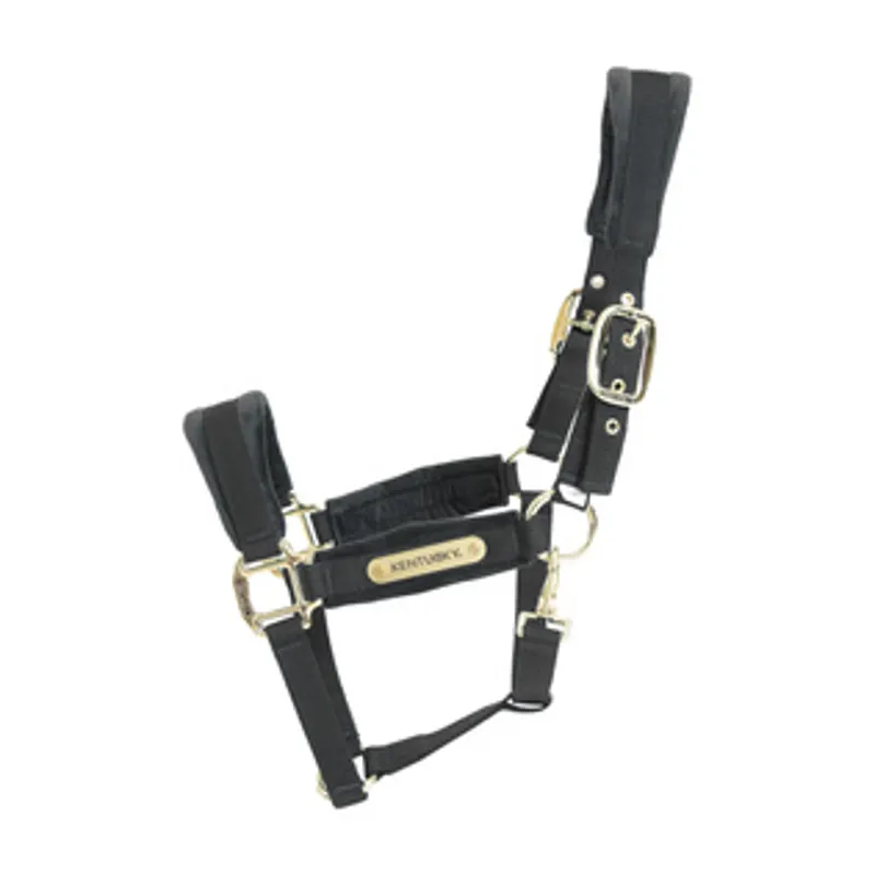 Kentucky Velvet Headcollar in Black