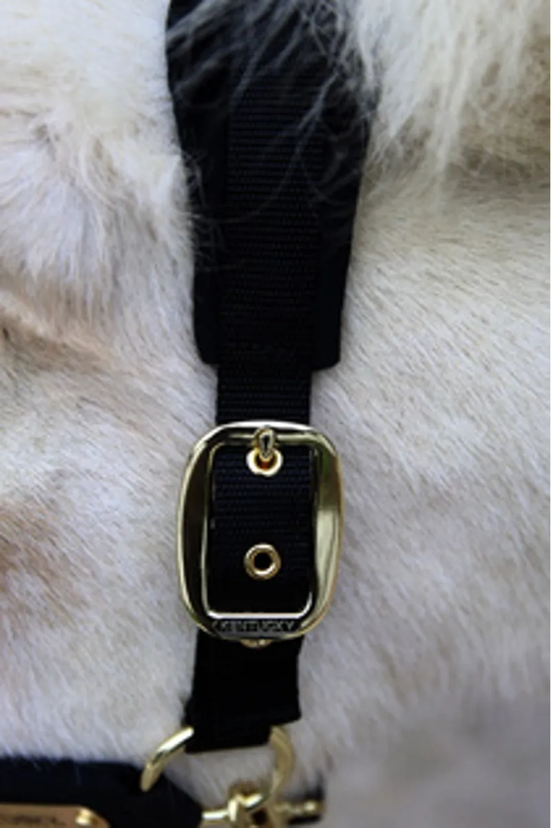 Kentucky Velvet Headcollar in Black-3