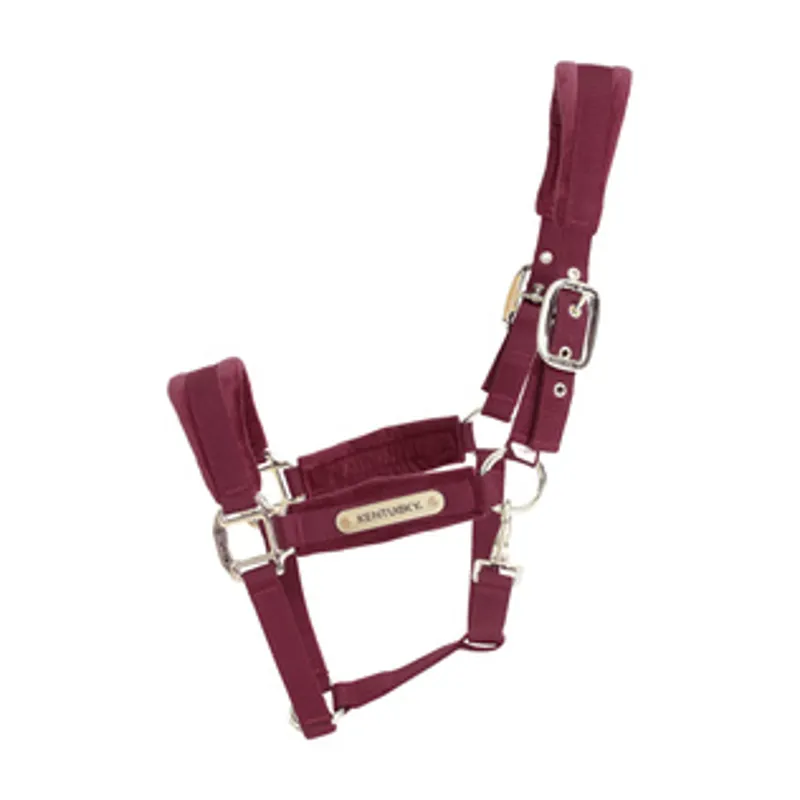 Kentucky Velvet Headcollar in Bordeaux