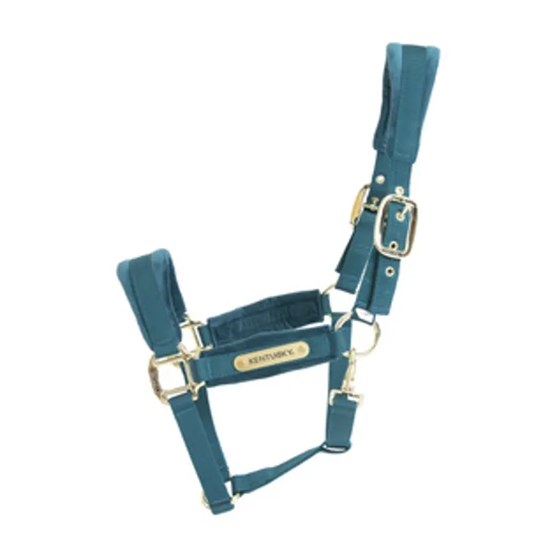 Kentucky Velvet Headcollar in Emerald