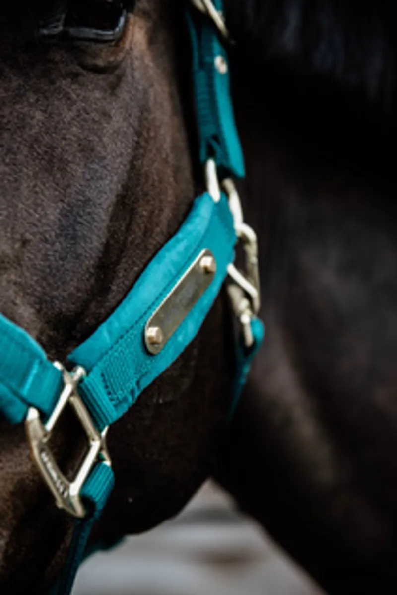 Kentucky Velvet Headcollar in Emerald-4