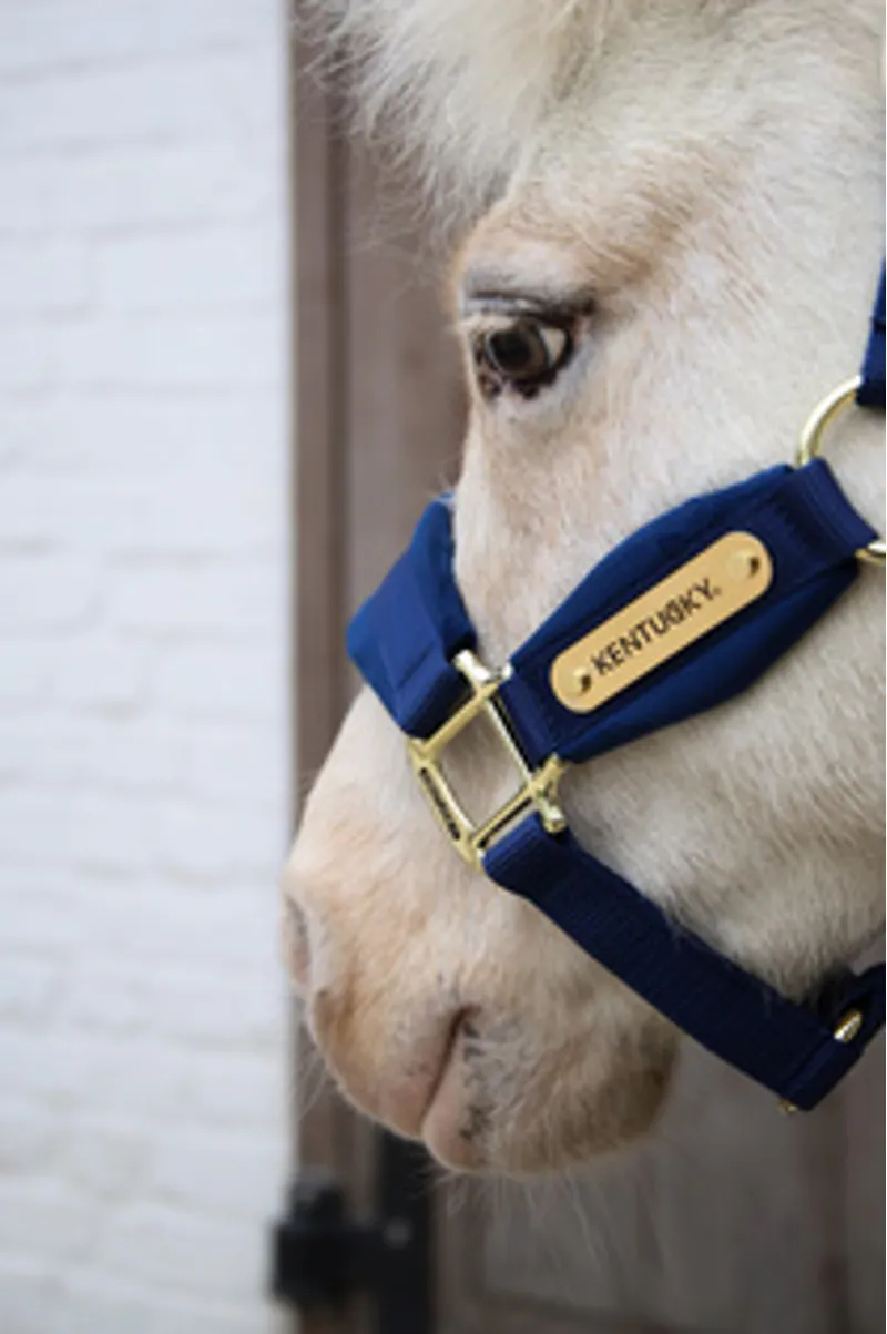 Kentucky Velvet Headcollar in Navy-2