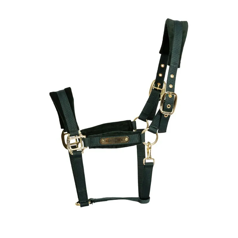 Kentucky Velvet Headcollar in Pine Green