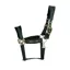 Kentucky Velvet Headcollar in Pine Green