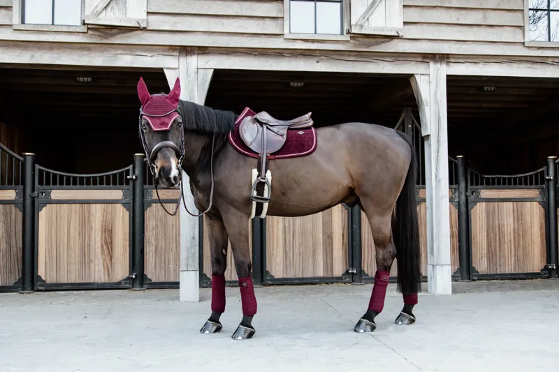 Kentucky Velvet Jumping Saddle Pad in Bordeaux-1