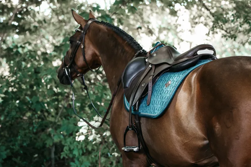 Kentucky Velvet Jumping Saddle Pad in Emerald-1