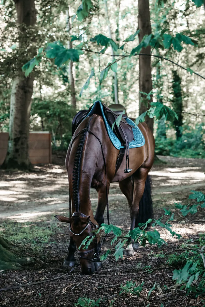 Kentucky Velvet Jumping Saddle Pad in Emerald-7