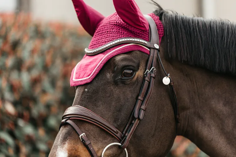 Kentucky Velvet Wellington Fly Veil in Bordeaux-5