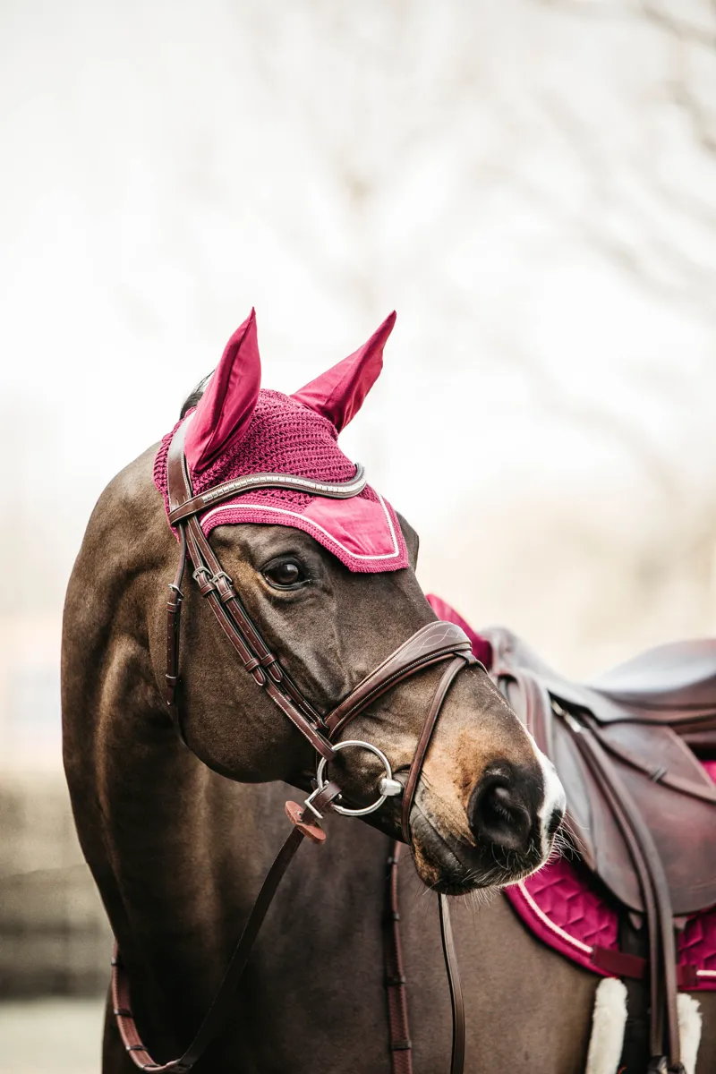 Kentucky Velvet Wellington Fly Veil in Bordeaux-1
