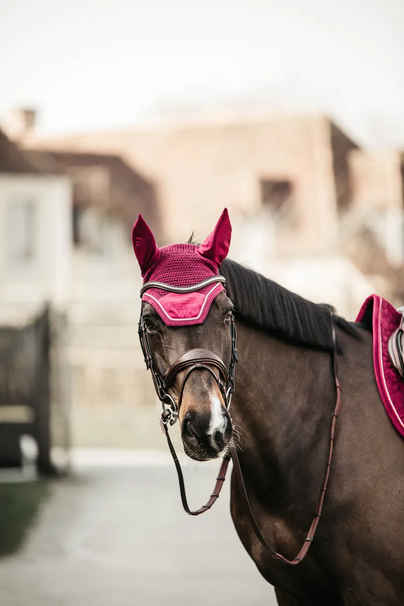 Kentucky Velvet Wellington Fly Veil in Bordeaux-6