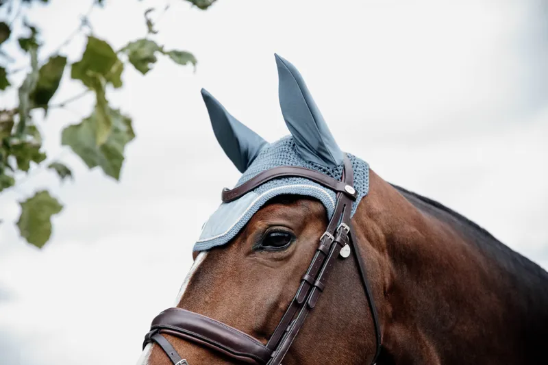 Kentucky Velvet Wellington Fly Veil in Light Blue-3