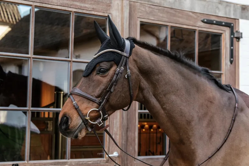 Kentucky Wellington Soundless Fly Veil in Black-1