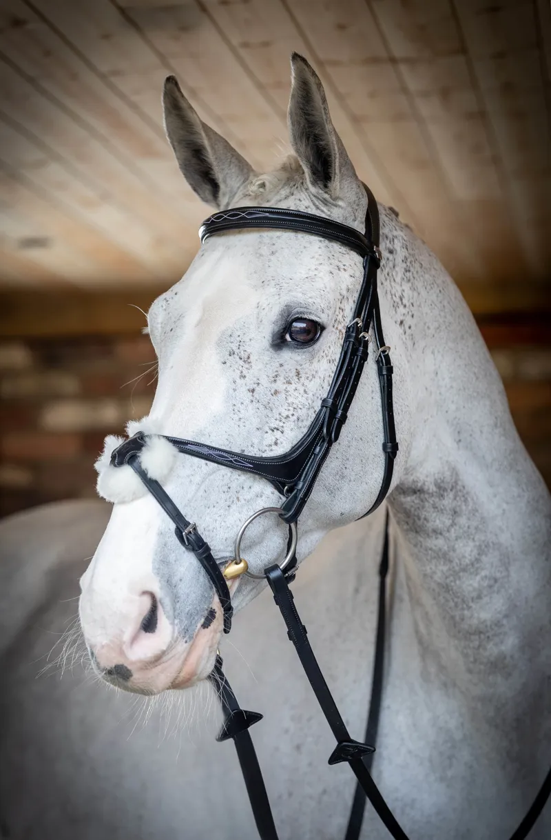 LeMieux Kudos Grackle Bridle in Black