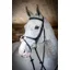 LeMieux Kudos Grackle Bridle in Black
