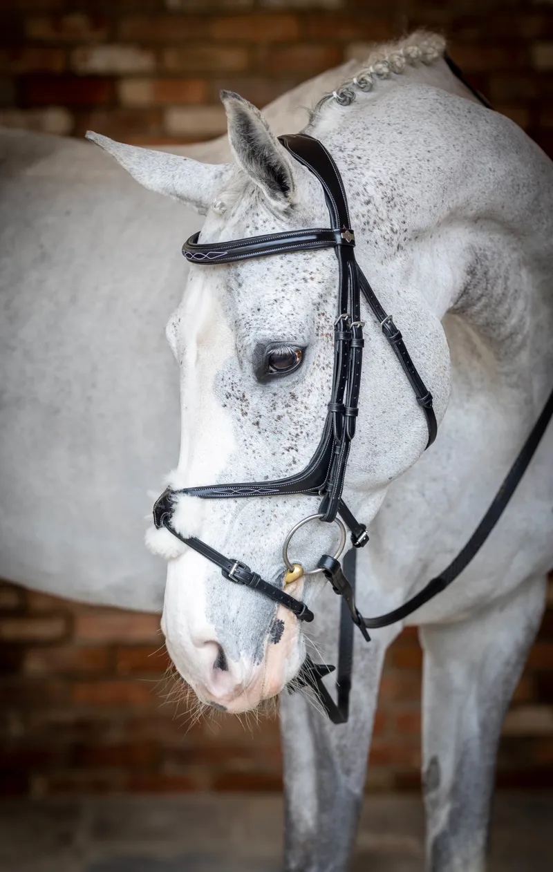 LeMieux Kudos Grackle Bridle in Black-2
