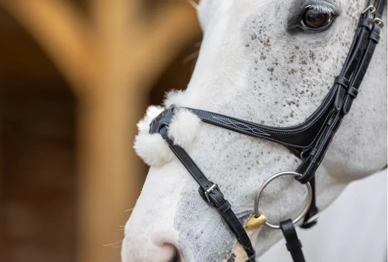LeMieux Kudos Grackle Bridle in Black-3