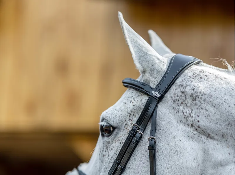 LeMieux Kudos Grackle Bridle in Black-4