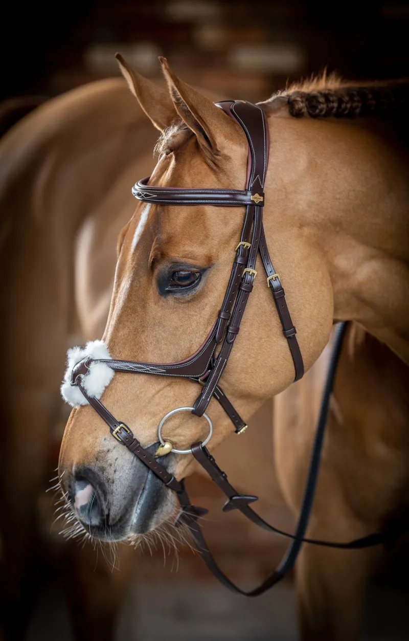 LeMieux Kudos Grackle Bridle in Havana-2