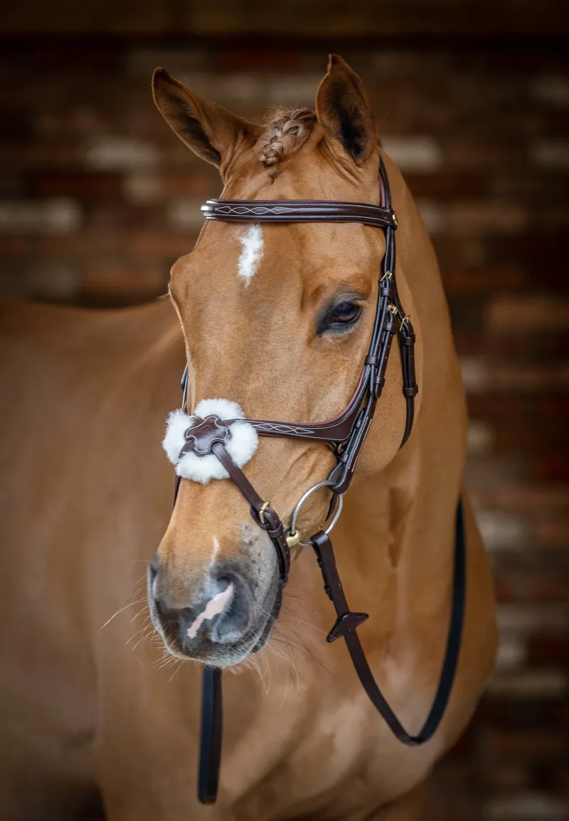 LeMieux Kudos Grackle Bridle in Havana-3