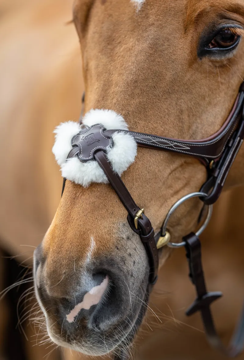 LeMieux Kudos Grackle Bridle in Havana-5