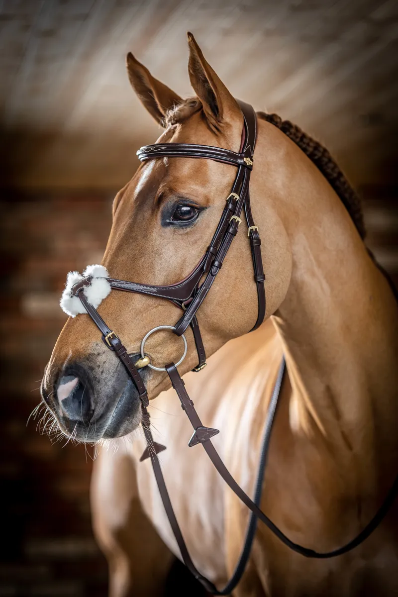 LeMieux Kudos Grackle Bridle in Havana