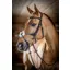 LeMieux Kudos Grackle Bridle in Havana
