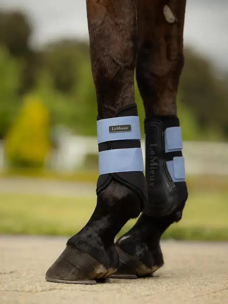 LeMieux Air-Tek Grafter Brushing Boots in Powder Blue-1