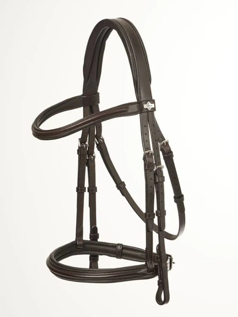 LeMieux Arika Cavesson Bridle in Brown and Silver-2