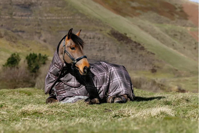 LeMieux Arika Heritage Check Turnout Rug 100g in Cocoa-3