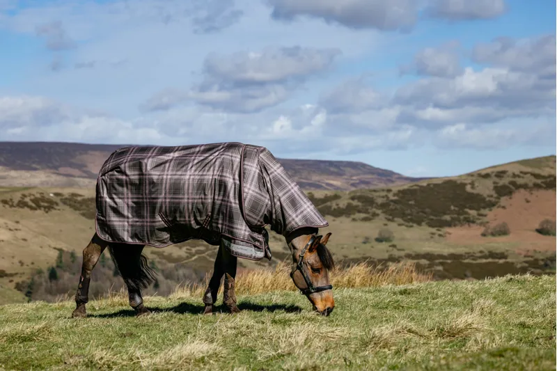 LeMieux Arika Heritage Check Turnout Rug 100g in Cocoa-2