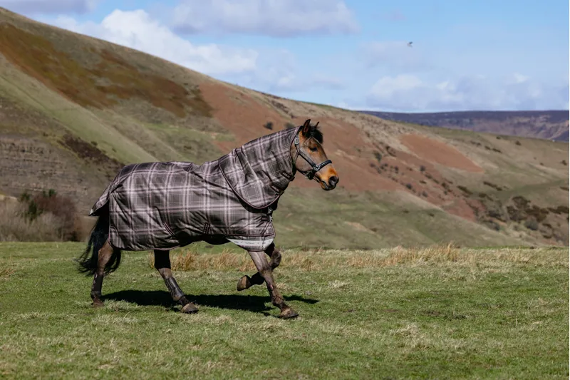 LeMieux Arika Heritage Check Turnout Rug 100g in Cocoa