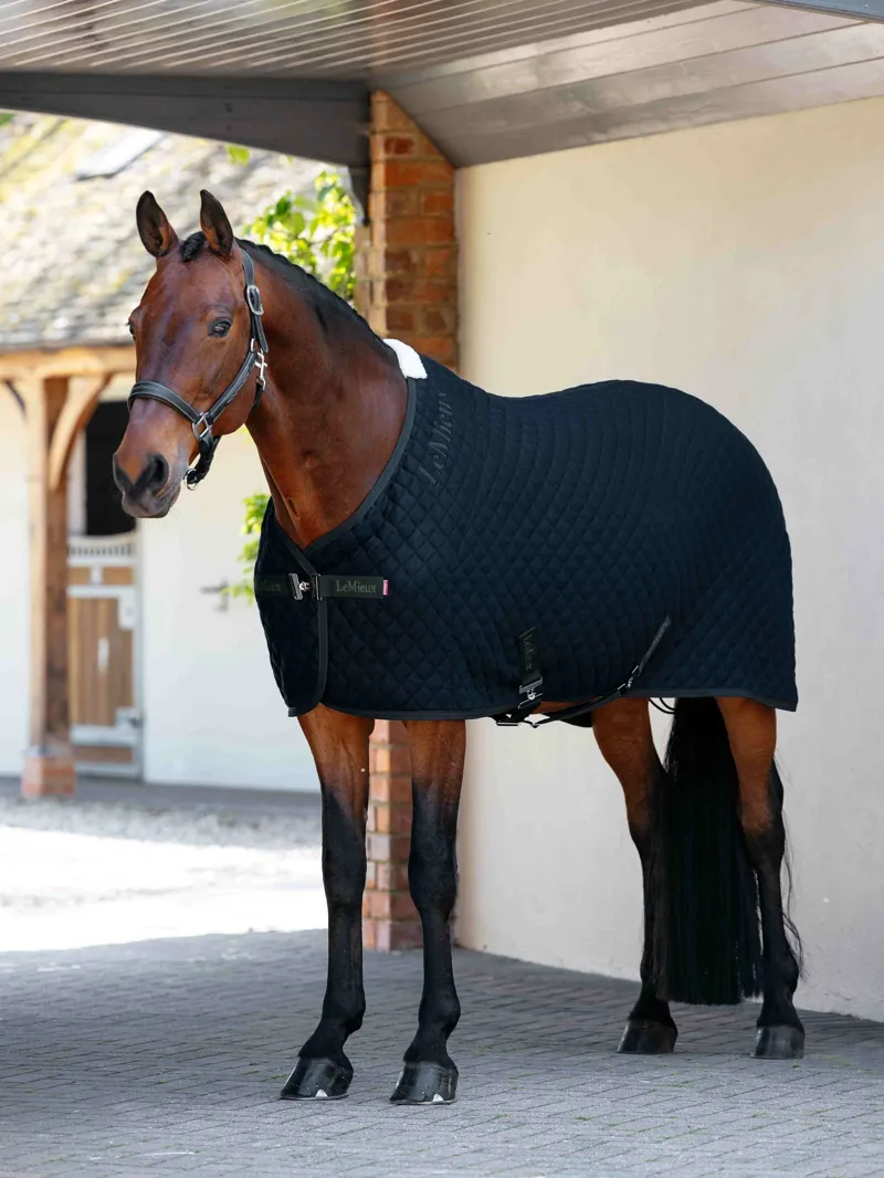 LeMieux Arika Clima-Tek Rug in Navy-1