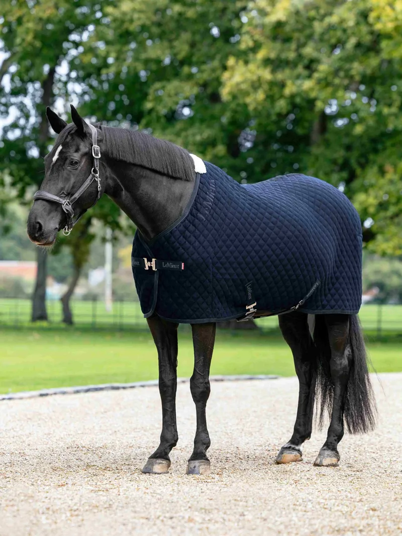 LeMieux Arika Clima-Tek Rug in Navy