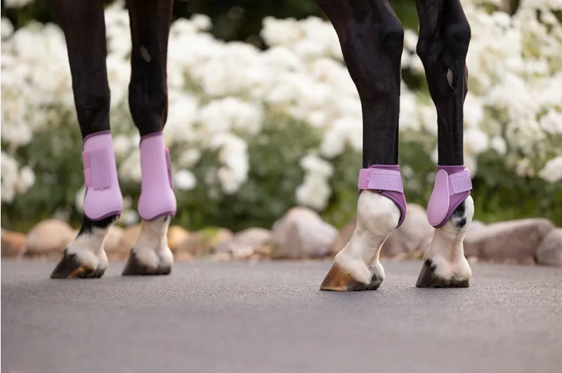 LeMieux Arika Fetlock Boots in Fondant-2