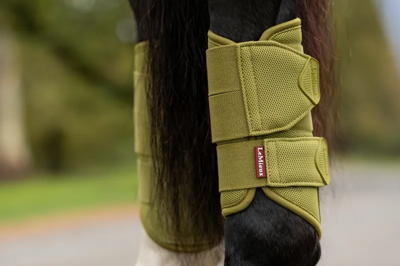 LeMieux Arika Mesh Brushing Boots in Gooseberry-2
