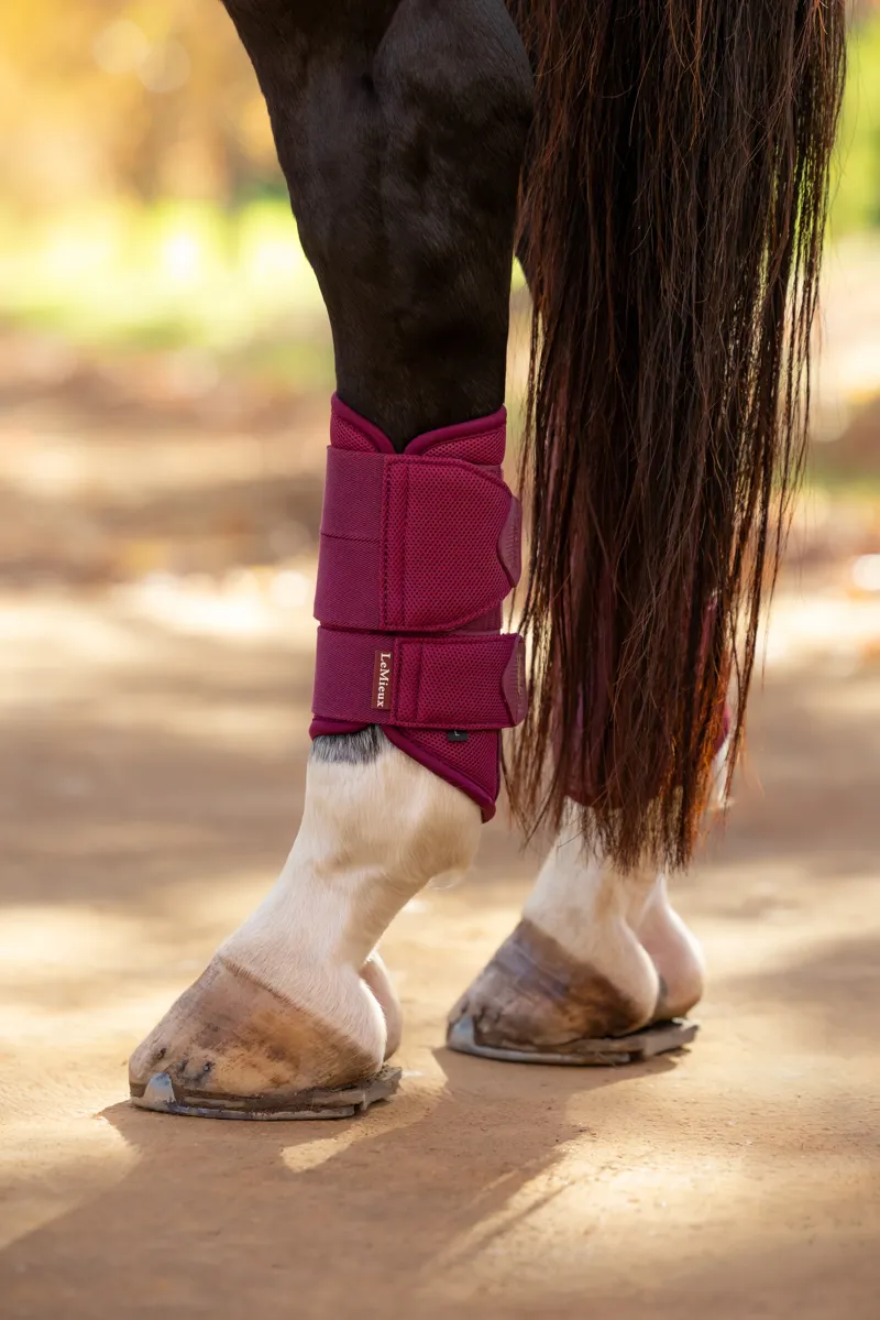 LeMieux Arika Mesh Brushing Boots in Blackberry-2
