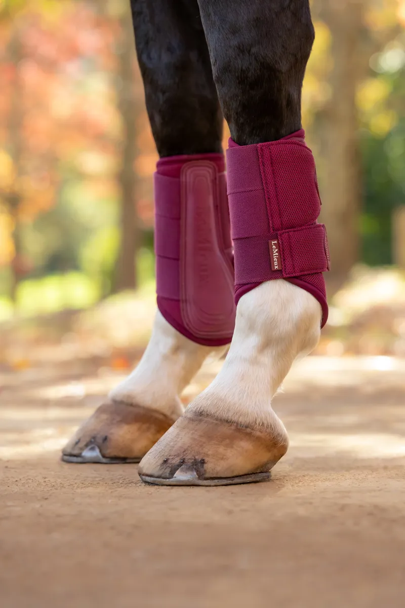 LeMieux Arika Mesh Brushing Boots in Blackberry-1