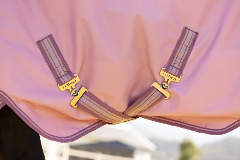 LeMieux Arika Ripstop 50g Turnout Rug in Fondant-3