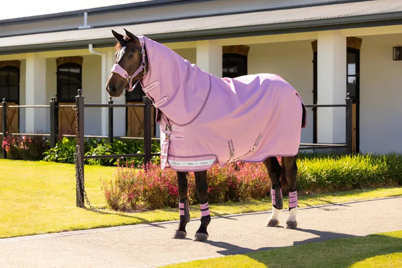 LeMieux Arika Ripstop 50g Turnout Rug in Fondant-7