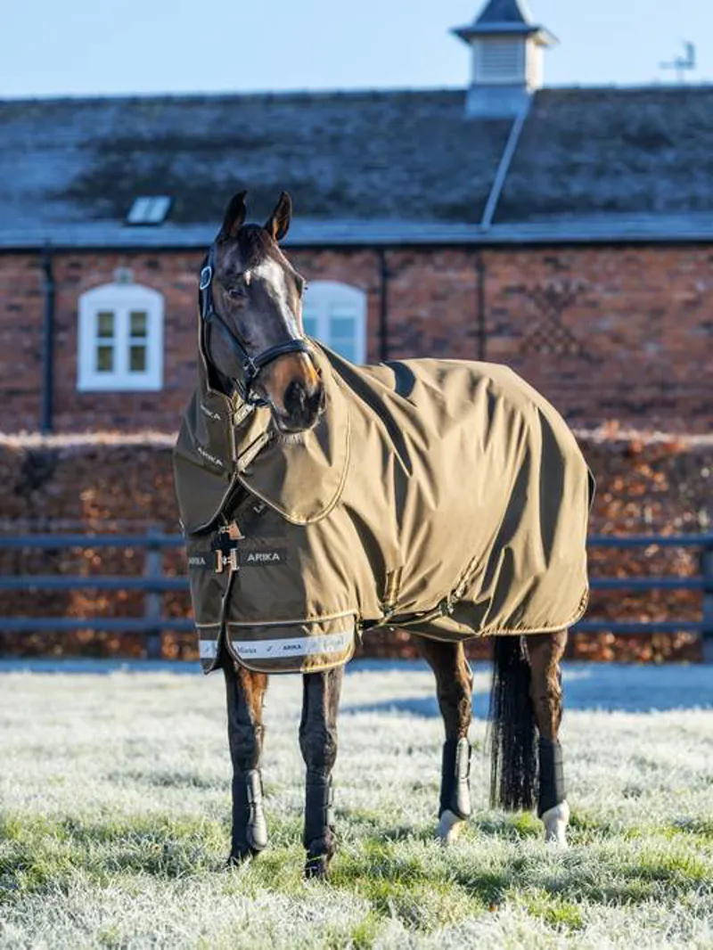 LeMieux Arika Ripstop 200g Turnout Rug in Alpine-1
