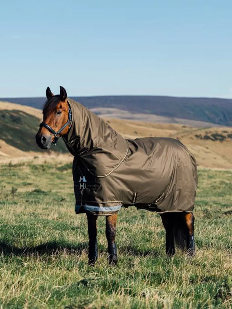 LeMieux Arika Ripstop 200g Turnout Rug in Alpine