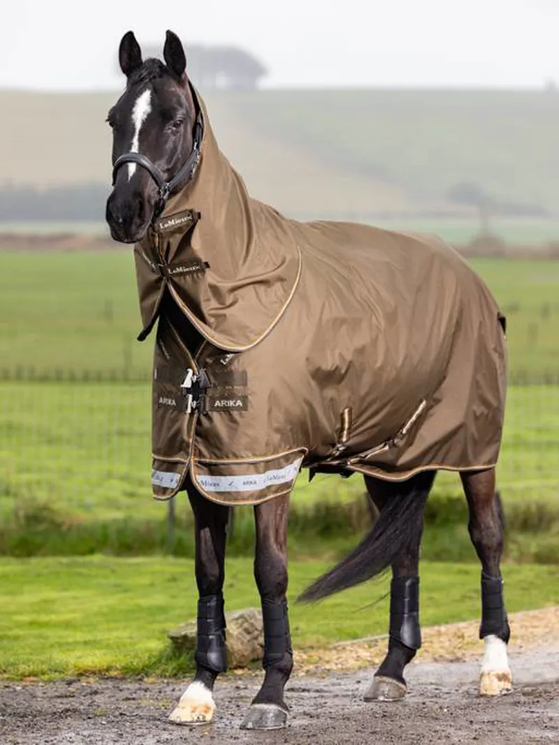 LeMieux Arika Ripstop 50g Turnout Rug in Alpine