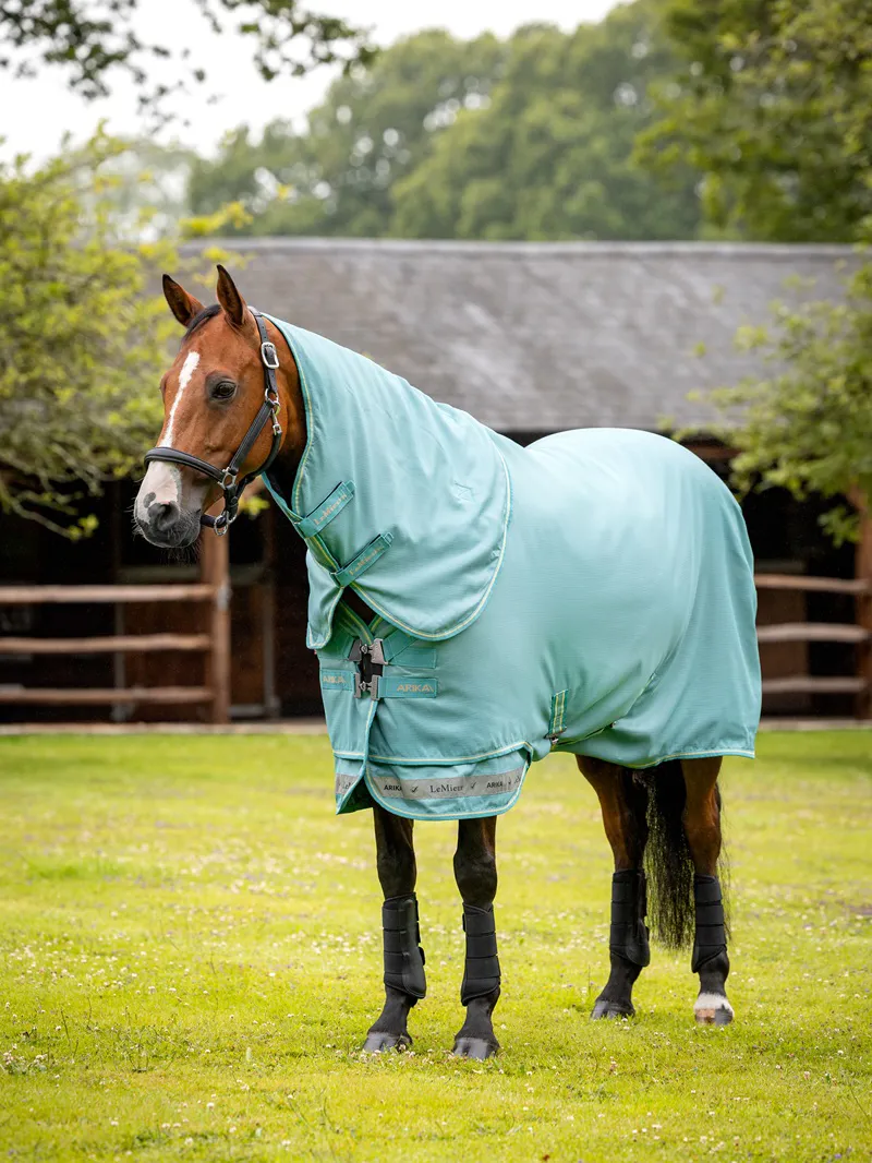 LeMieux Arika Ripstop 50g Turnout Rug in Lagoon