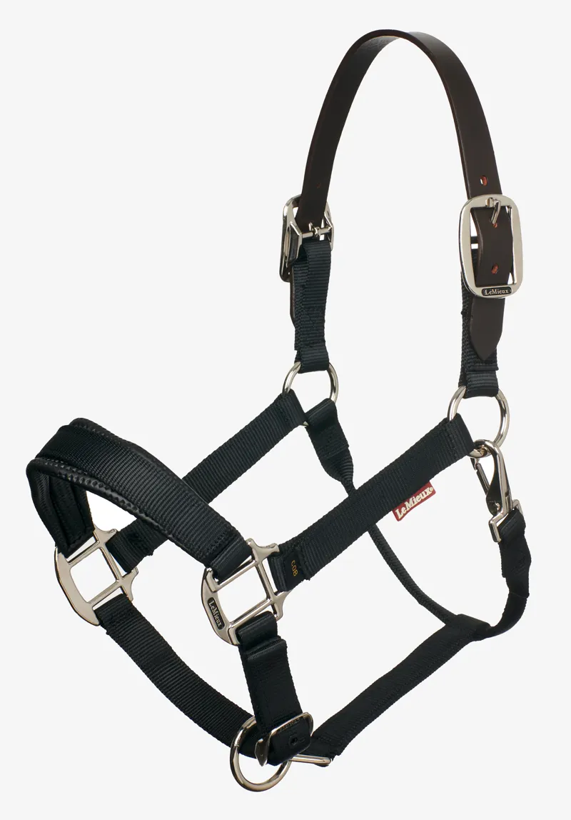 LeMieux Break Away Headcollar in Black