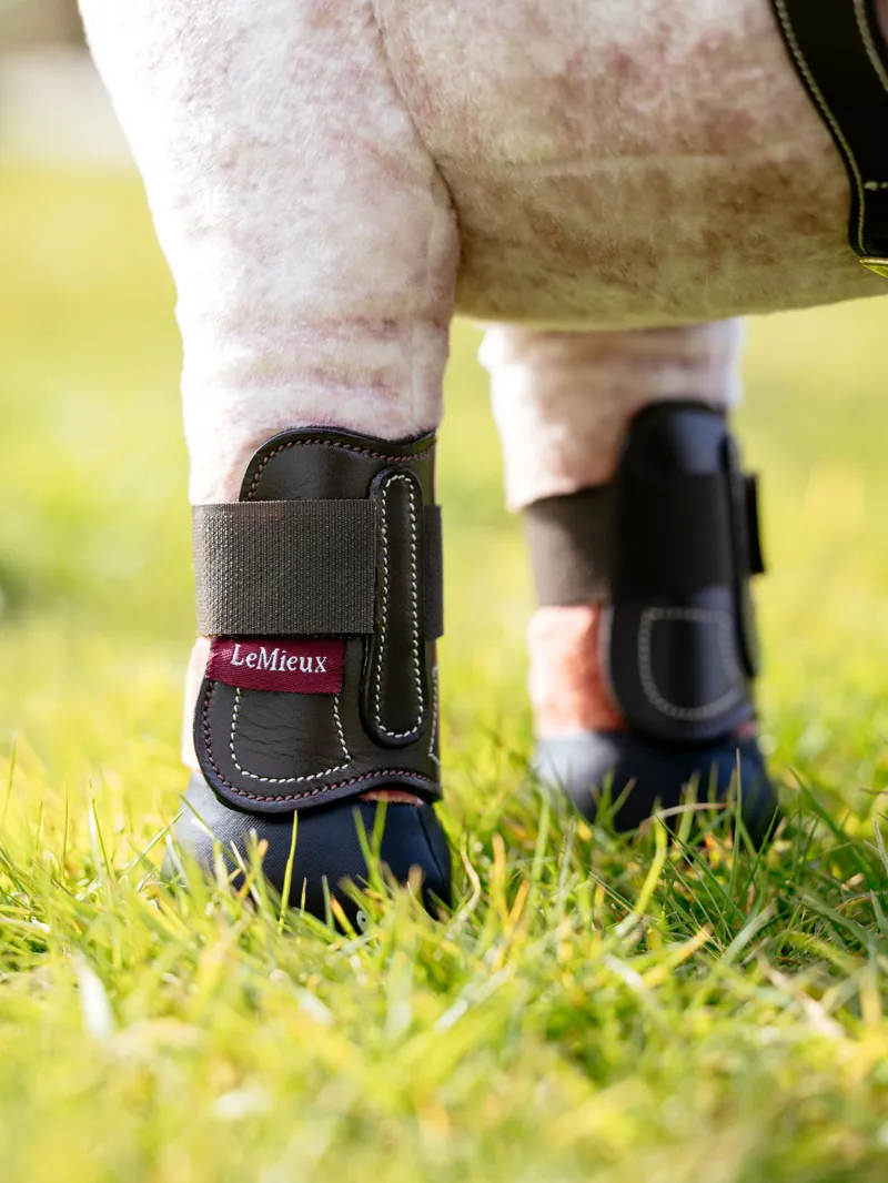 LeMieux Toy Pony Capella Boots in Brown-2